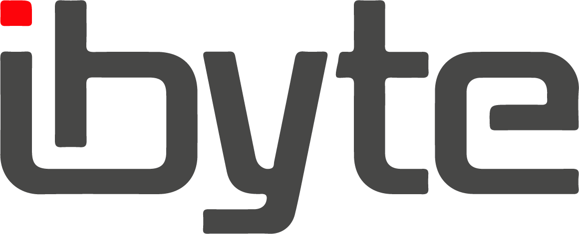 i Byte